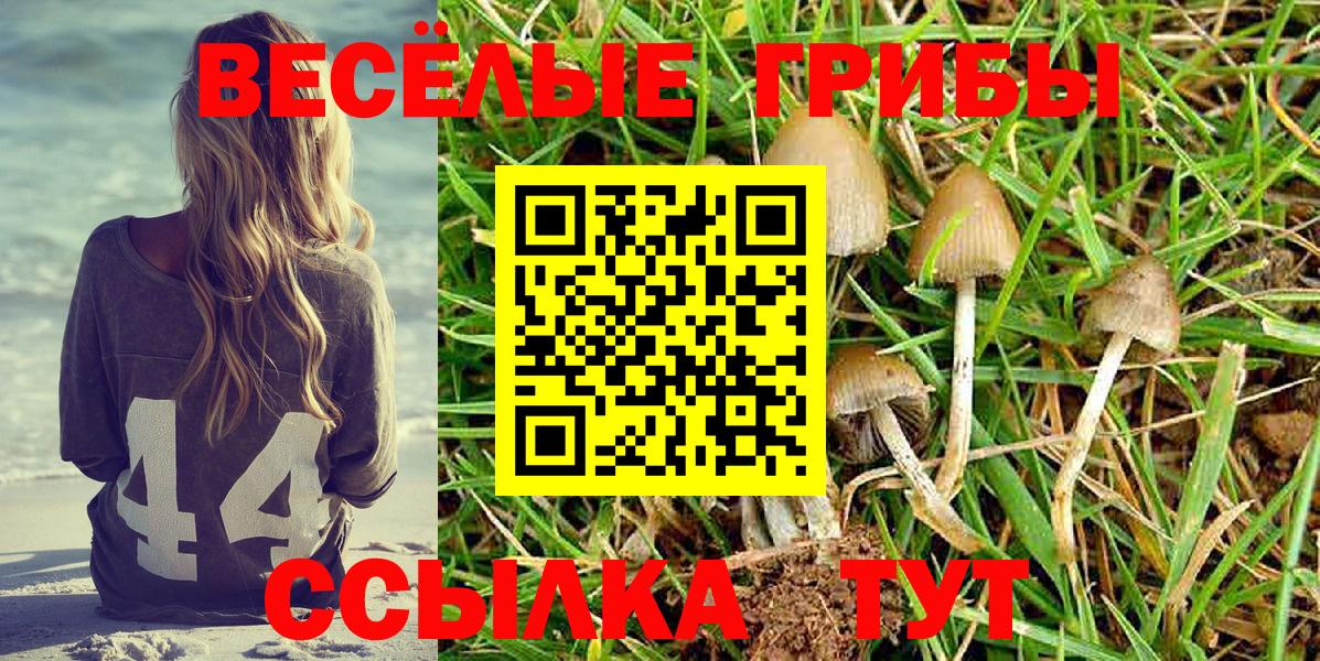 Галлюциногенные грибы Cubensis  Вход с VPN  Галлюциногенные грибы GOLDEN TEACHER  купить закладку  Орёл 